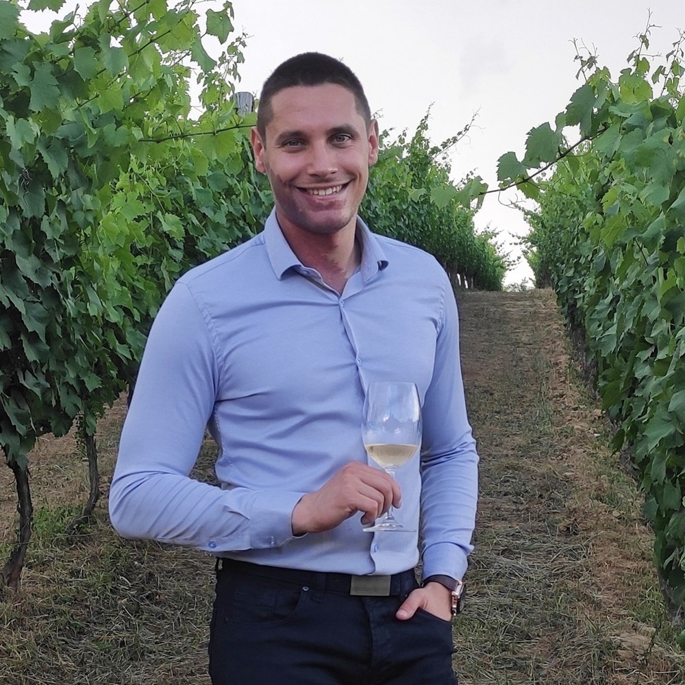 Nikola Jelovac enolog, Vino