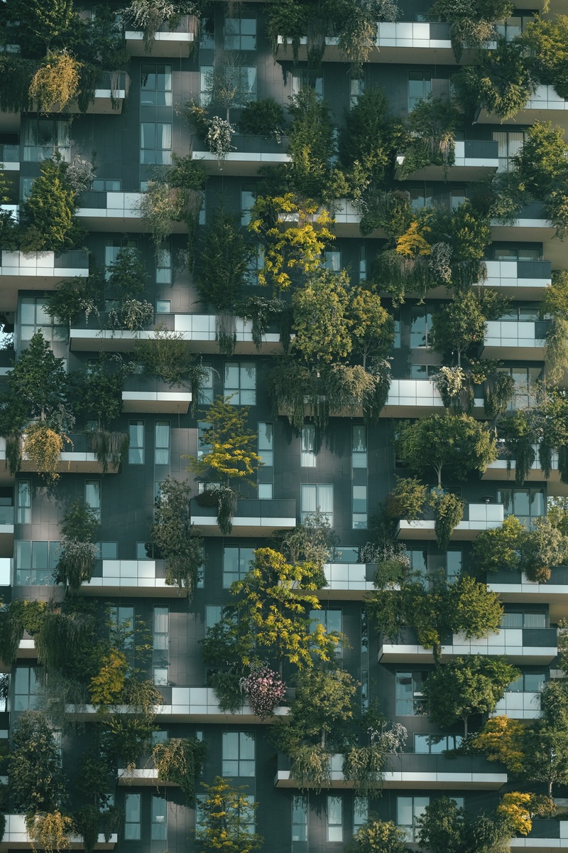 Dragana Korica, Savet zelene gradnje Srbije