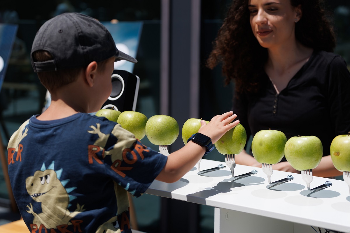 Green Wheels Adventure