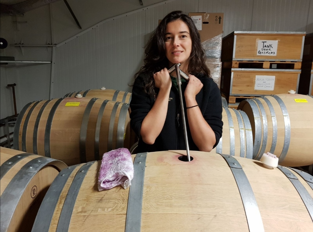 Kristina Lukić - Vinarija Dalia