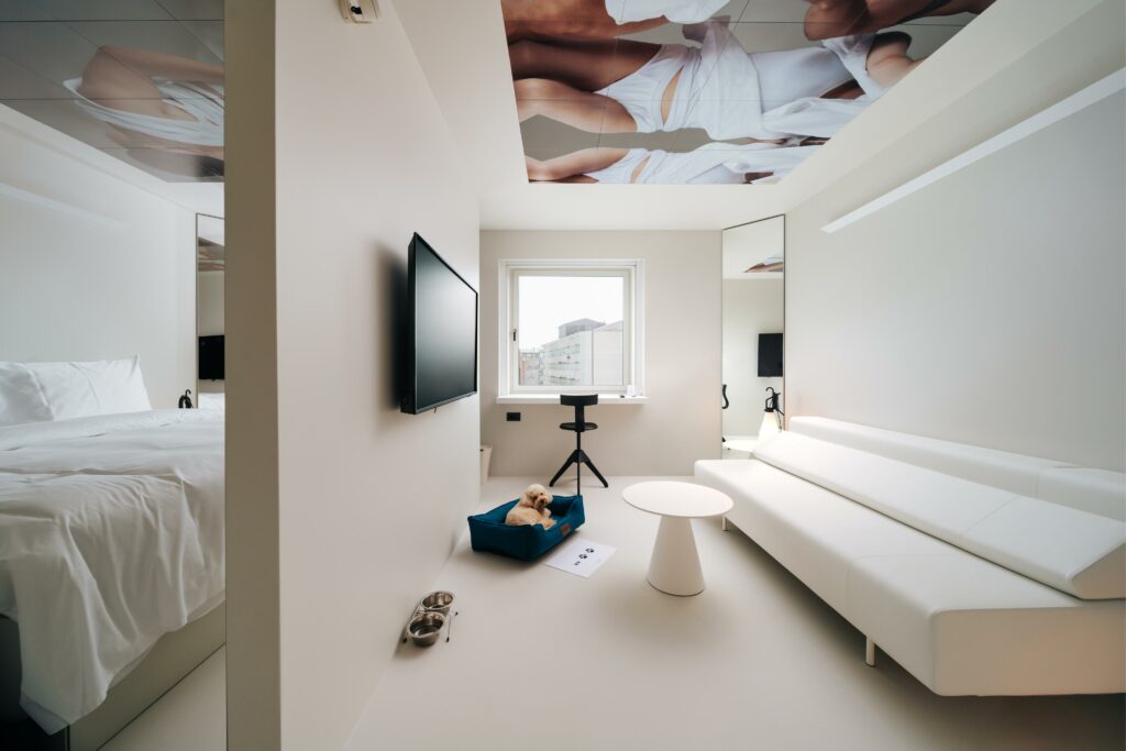 Stellar Boutique Modules