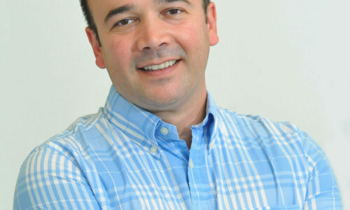 Desing, Vojislav Nikolić