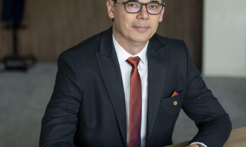 Ivan Petrović, Ananas