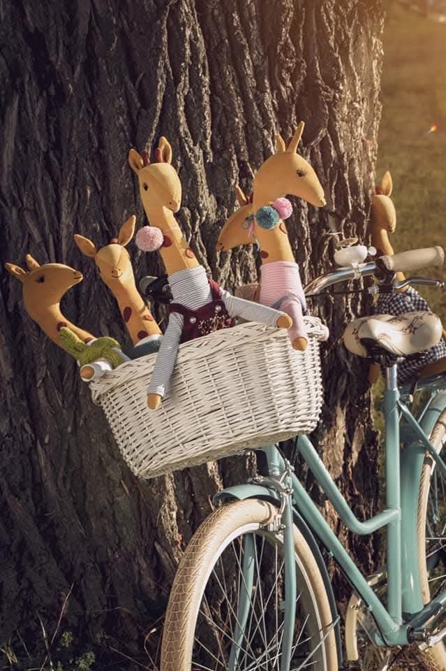 Bojana Rašić, Fabričica snova