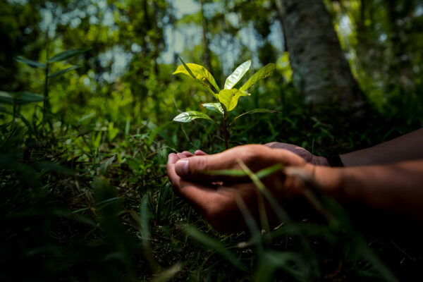 Priceless Planet Coalition, Zemlja