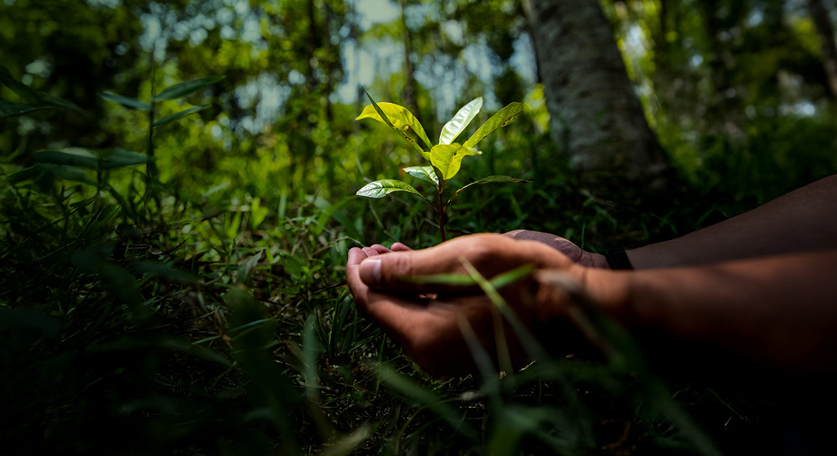 Priceless Planet Coalition, Zemlja