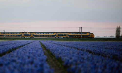 voz, Evropa, putovanja