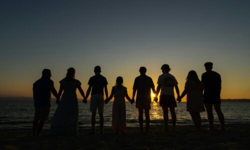 velika porodica, posao