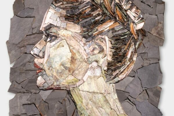 Mozaici, Anđelka Radojević