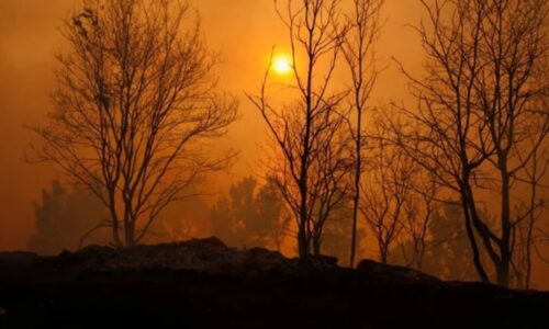 Coca cola HBC Srbija