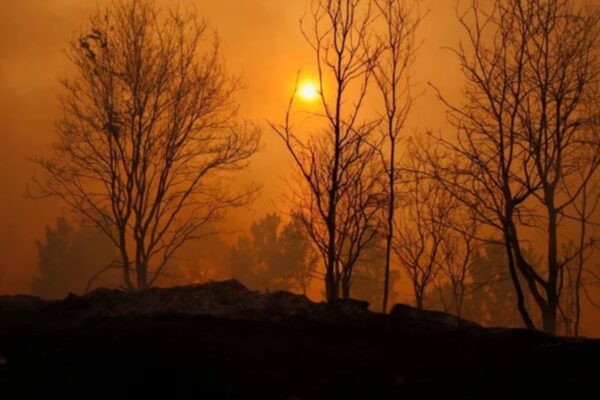 Coca cola HBC Srbija