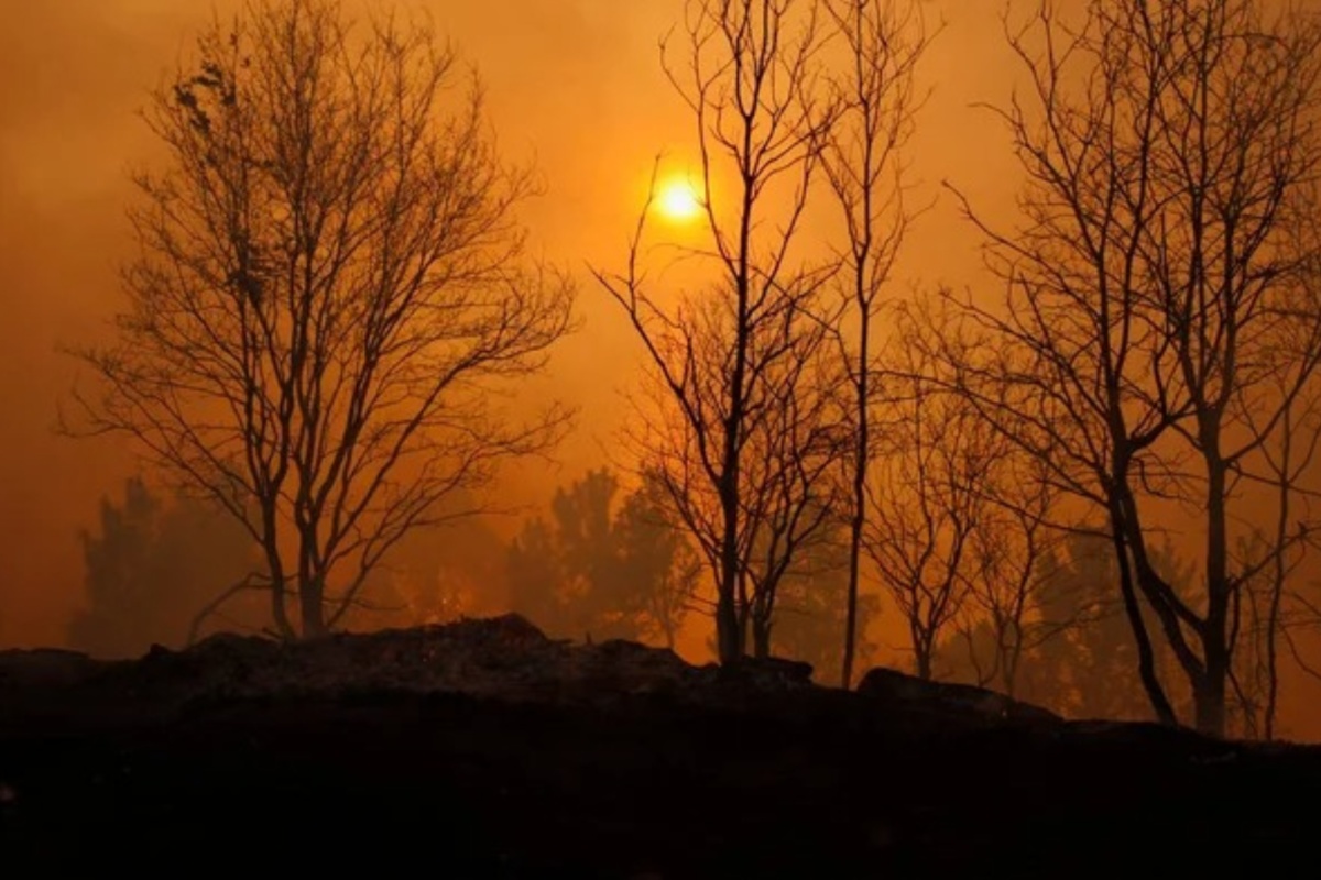 Coca cola HBC Srbija