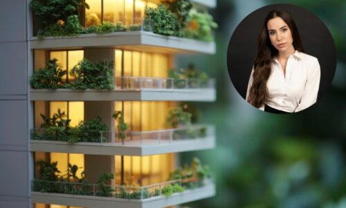 Sonja Čoko, Nekretnine