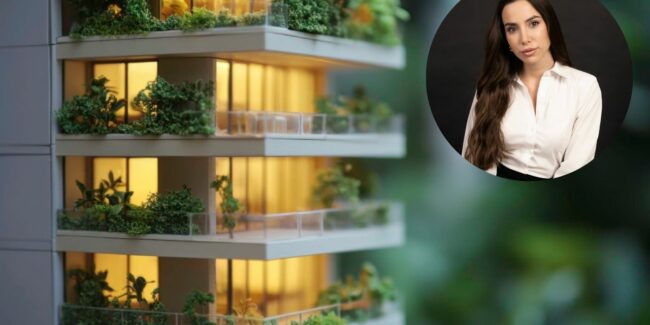 Sonja Čoko, Nekretnine