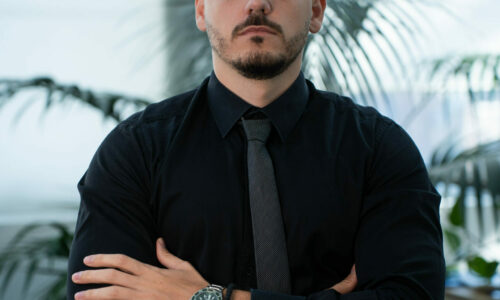 Miloš Mitić, City Expert