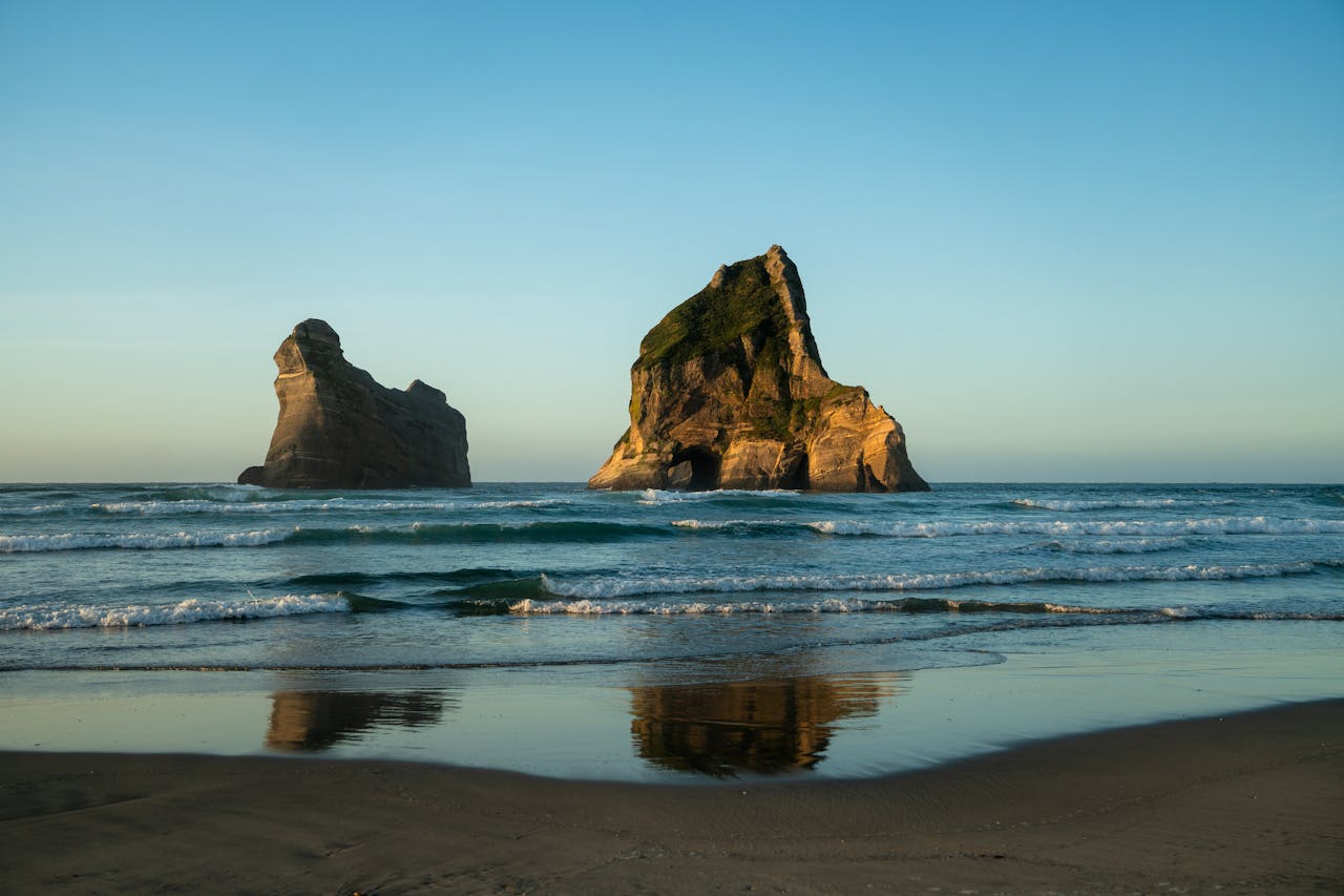 Wharariki, novi zelan