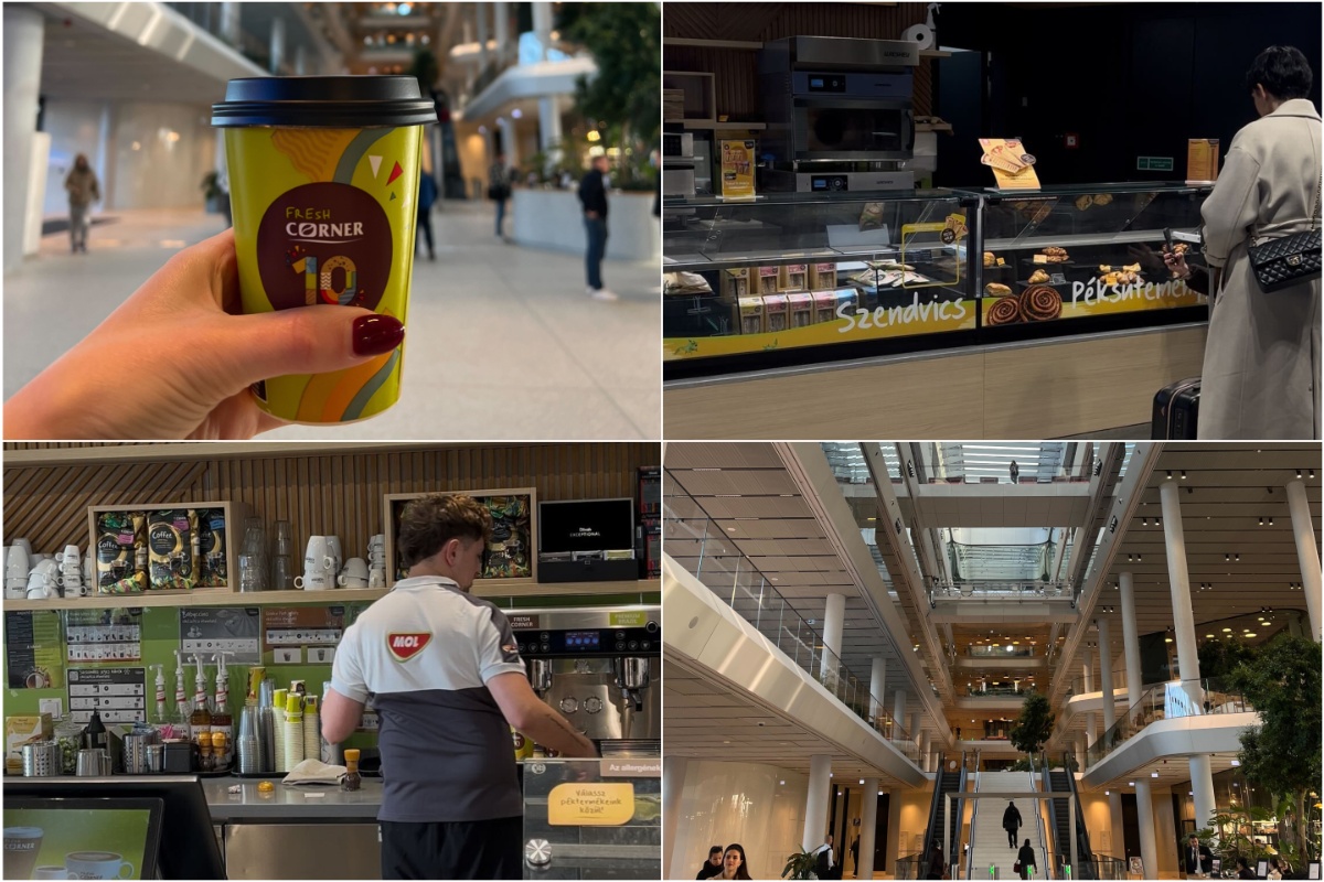 Fresh Corner, MOL Grupa