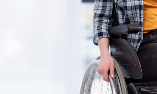 Osobe sa invaliditetom