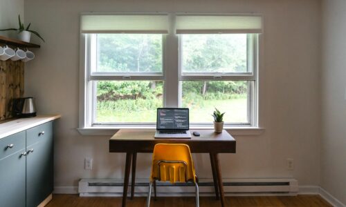 posao, rad od kuće, rad na daljinu, laptop digital nomad vizaBugarska