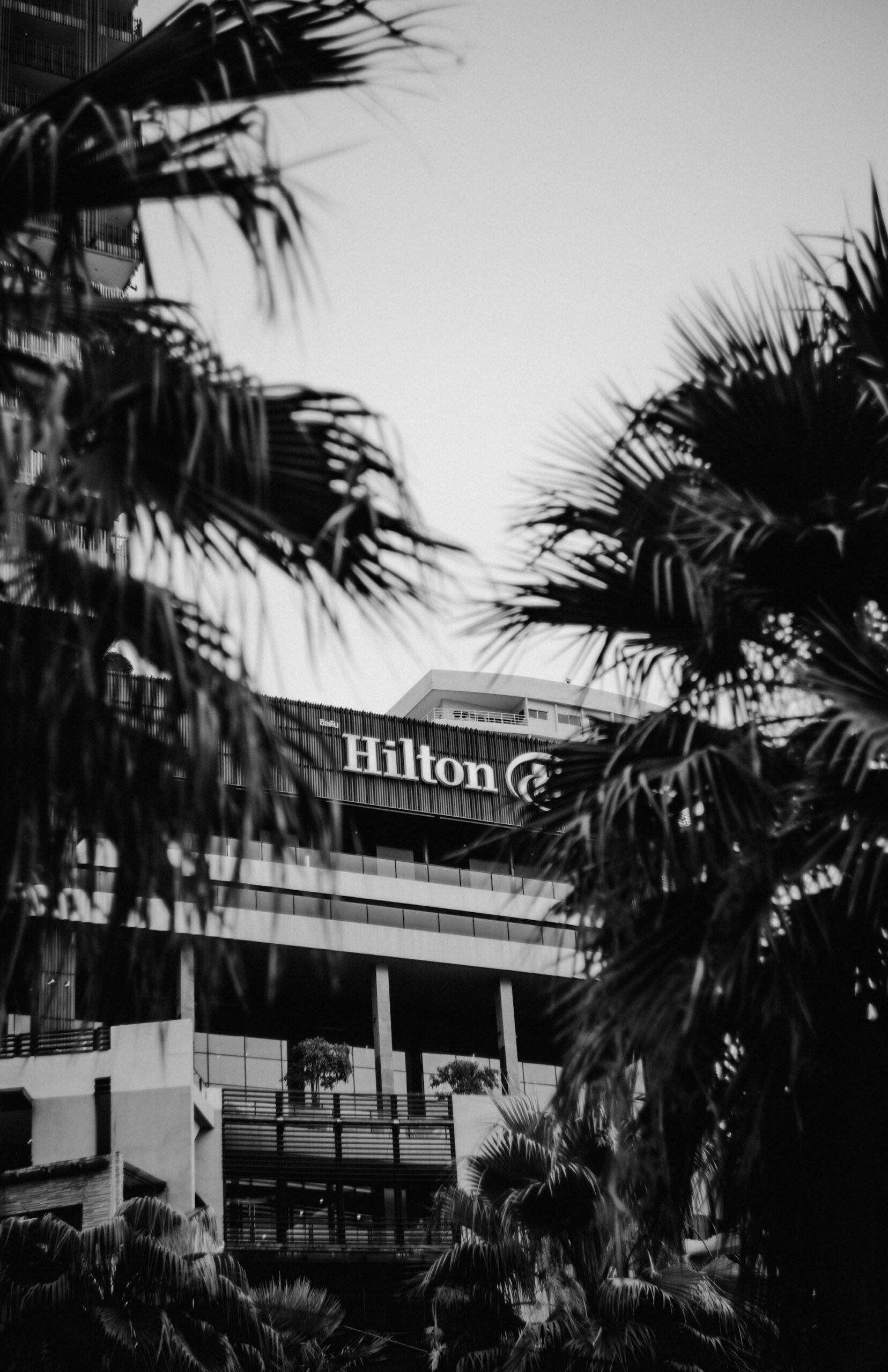 hotel, hilton