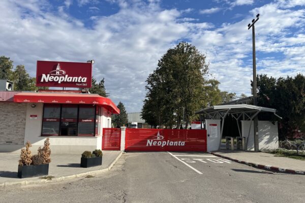 Neoplanta